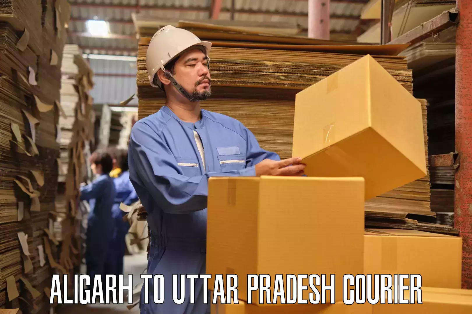 Efficient furniture transport Aligarh to Gauriganj