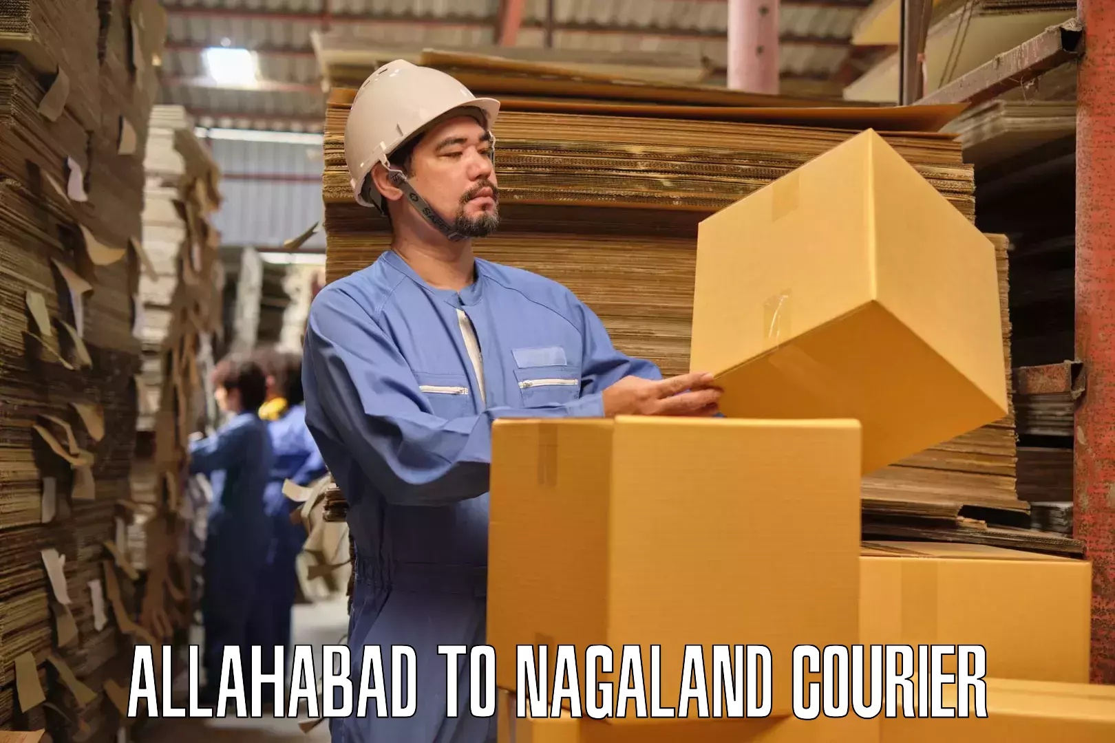 Quality relocation services Allahabad to Kiphire