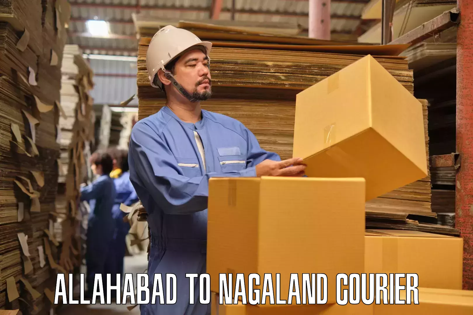 Professional moving strategies Allahabad to Phek