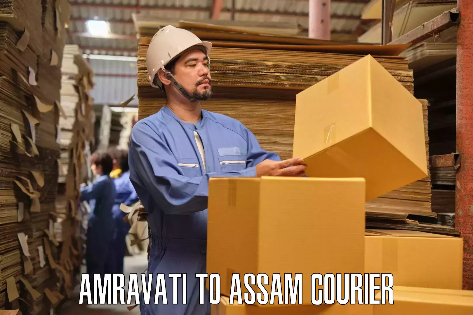 Safe furniture moving Amravati to Assam