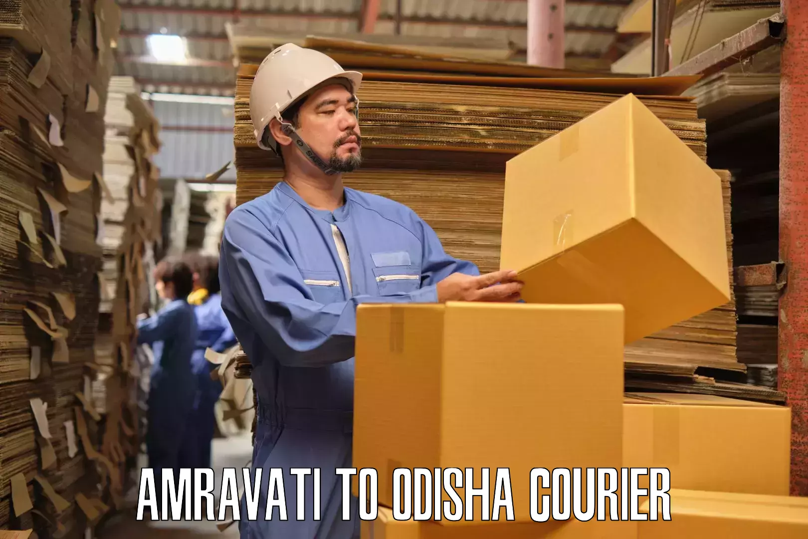 Professional furniture transport Amravati to Swampatna