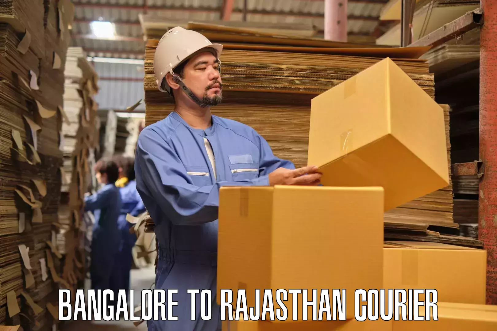 Reliable movers Bangalore to Banasthali Vidyapith