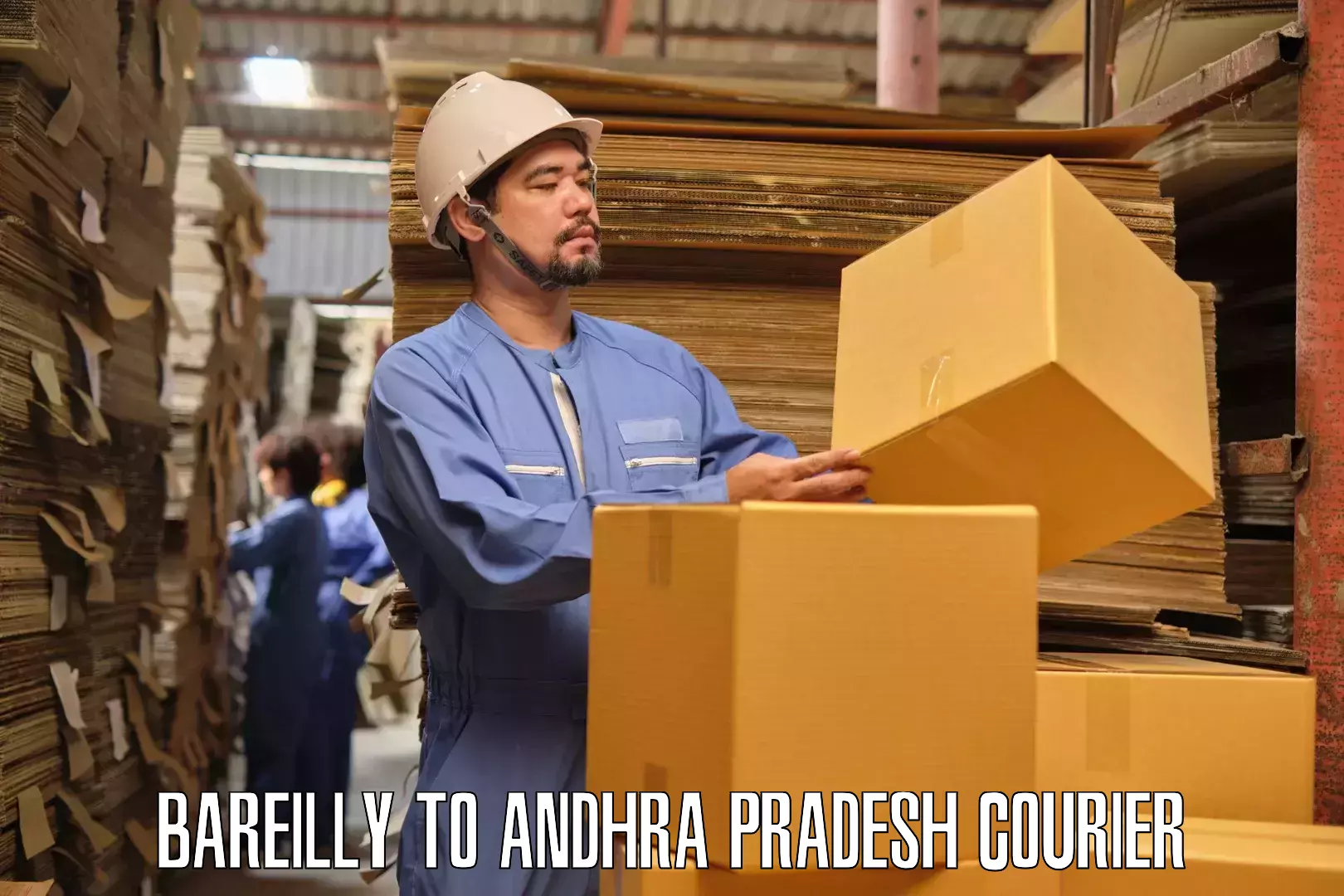 Quality furniture relocation Bareilly to NIT Andhra Pradesh