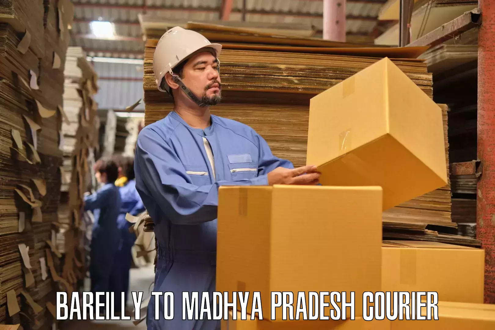 Trusted moving company Bareilly to Bichhiya