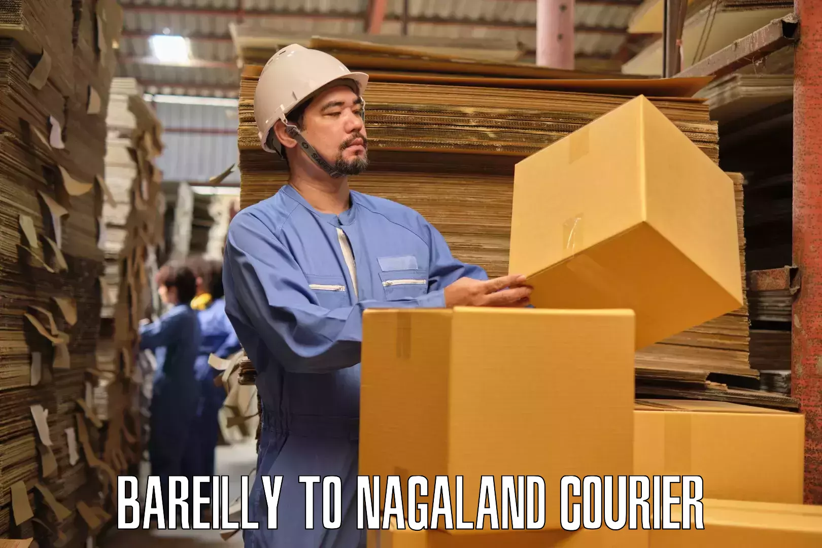 Reliable relocation services Bareilly to NIT Nagaland