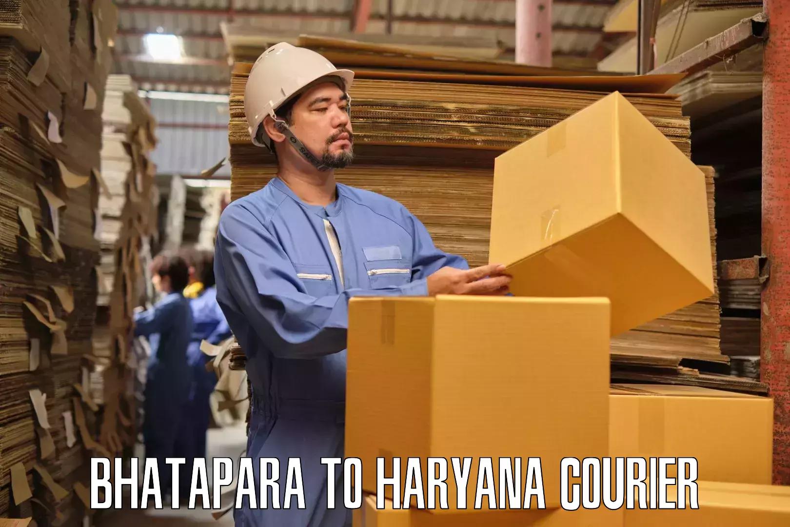 Professional goods transport Bhatapara to Narnaul