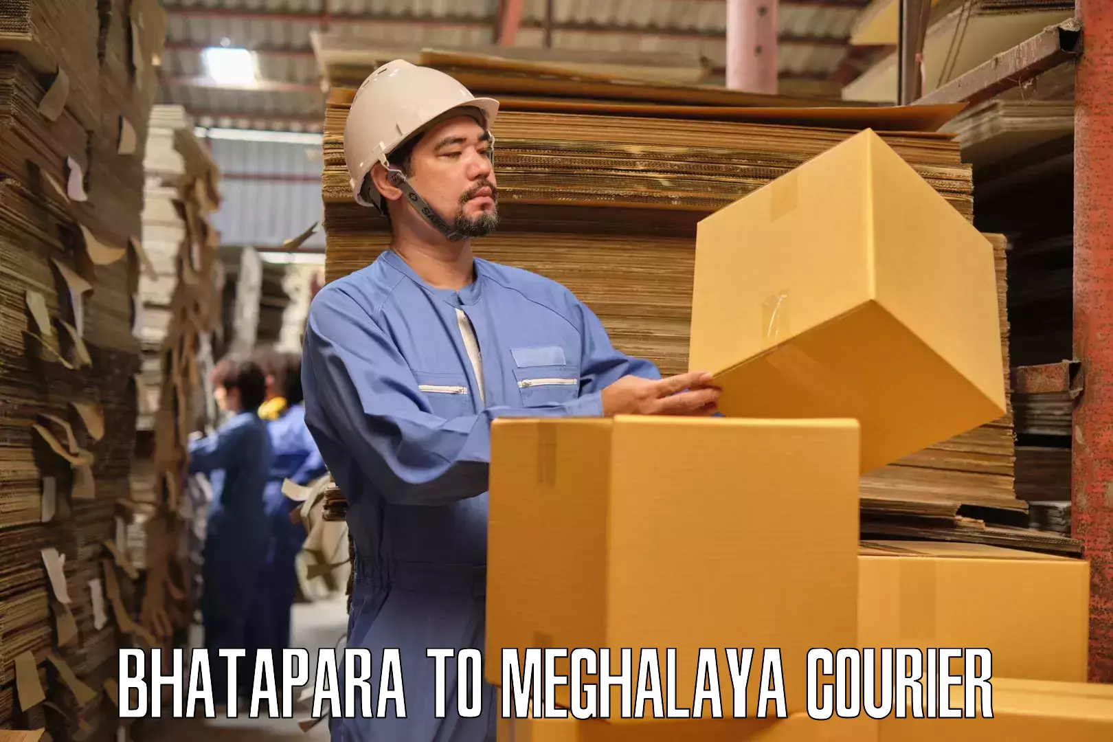 Quality furniture shipping Bhatapara to South Garo Hills