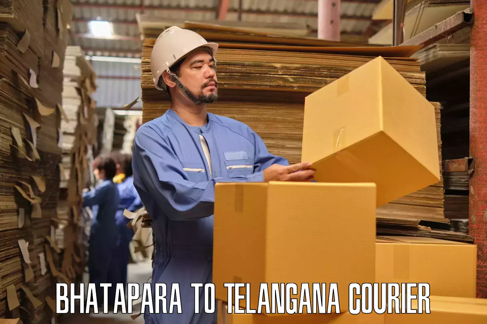 Dependable household movers Bhatapara to Pregnapur