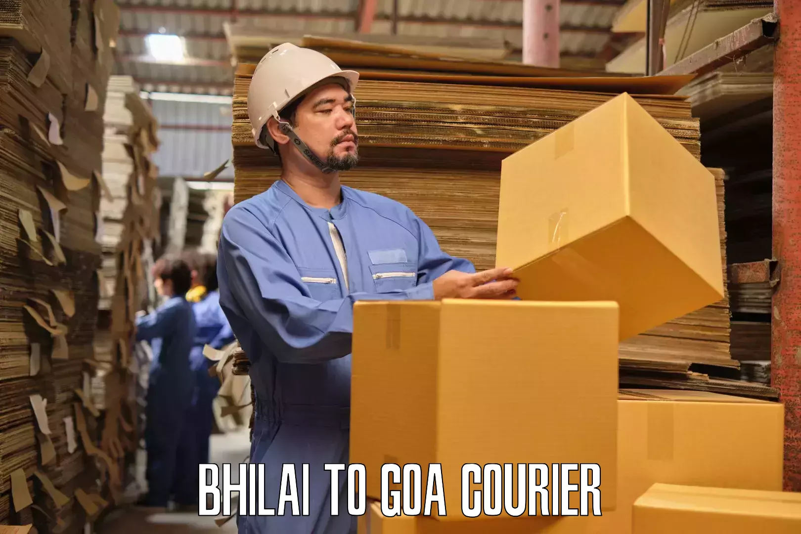 Online household goods transport Bhilai to NIT Goa