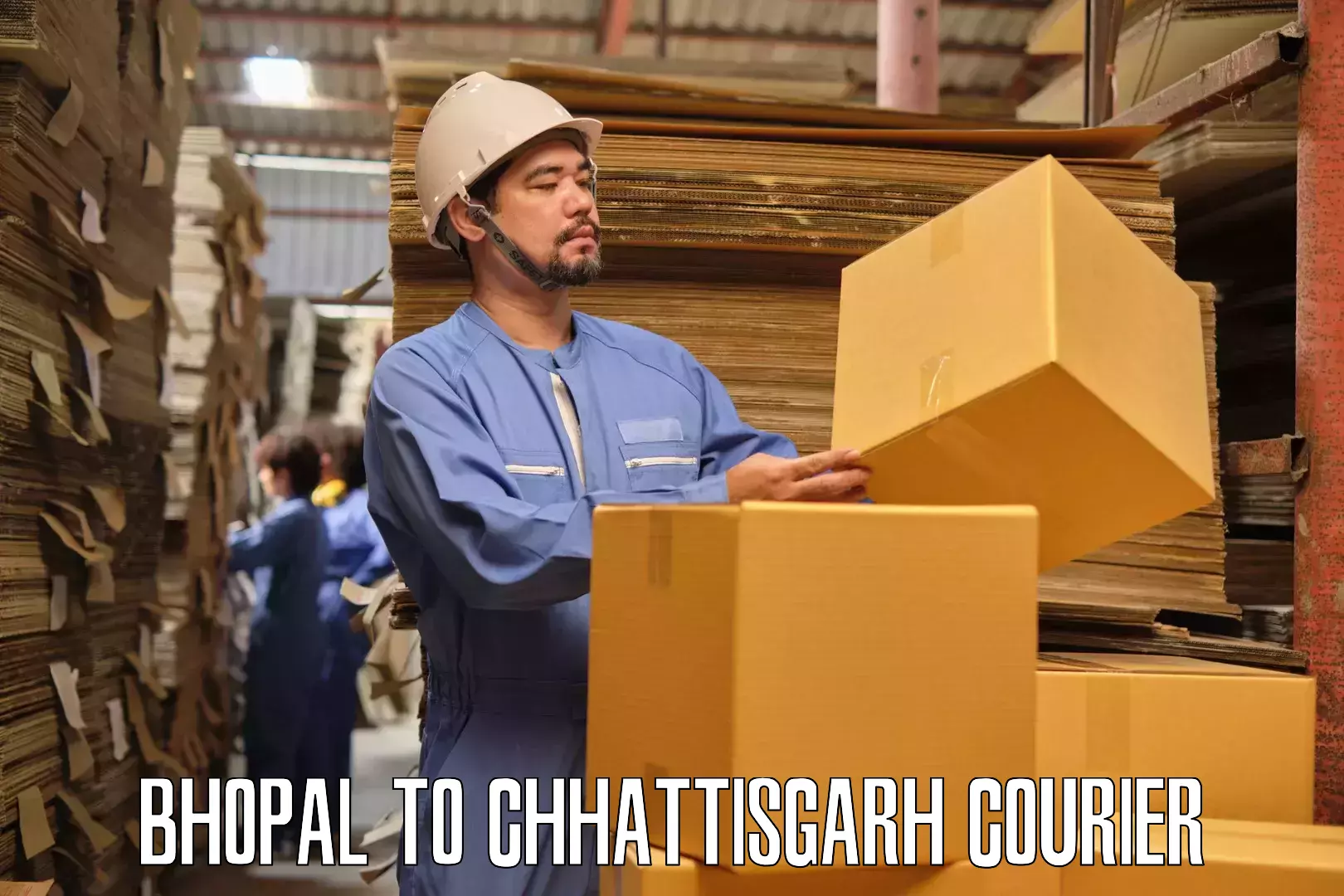 Skilled furniture movers Bhopal to Bhatapara