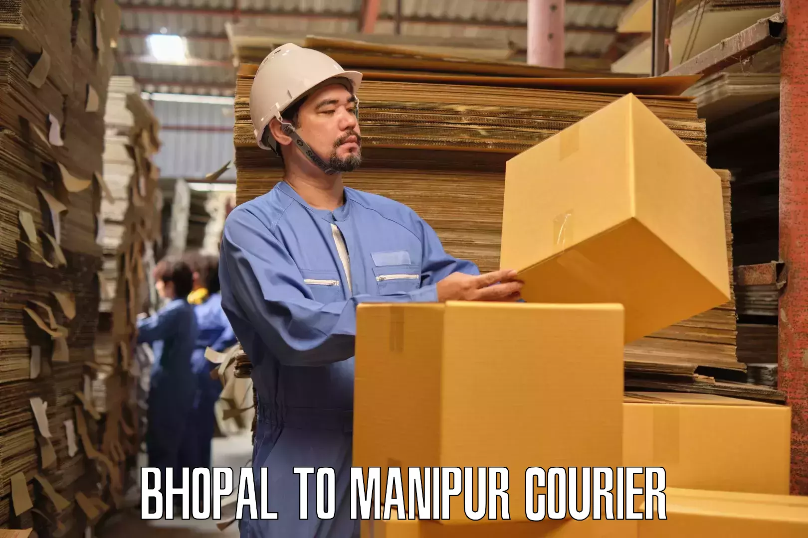 Furniture moving assistance Bhopal to Imphal
