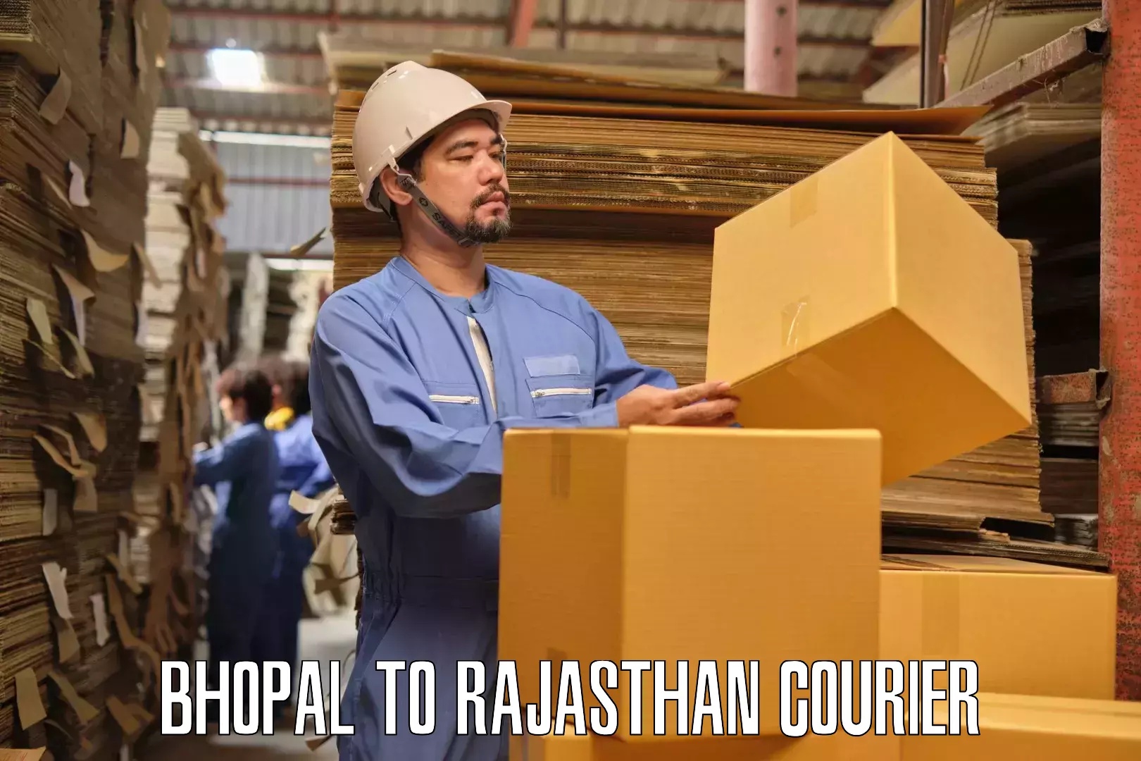 Furniture delivery service Bhopal to Jayal