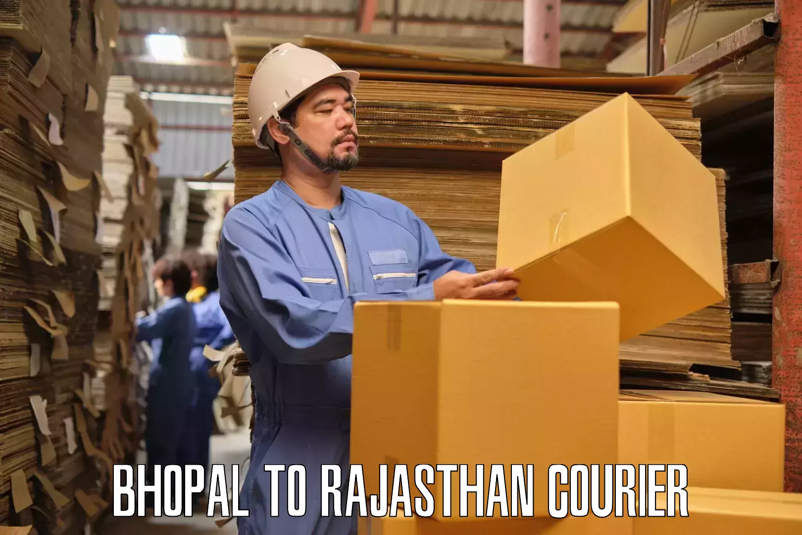 Professional furniture transport Bhopal to Raipur Pali