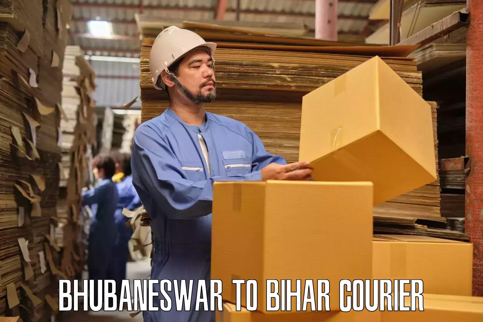 Skilled household transport Bhubaneswar to Bihar