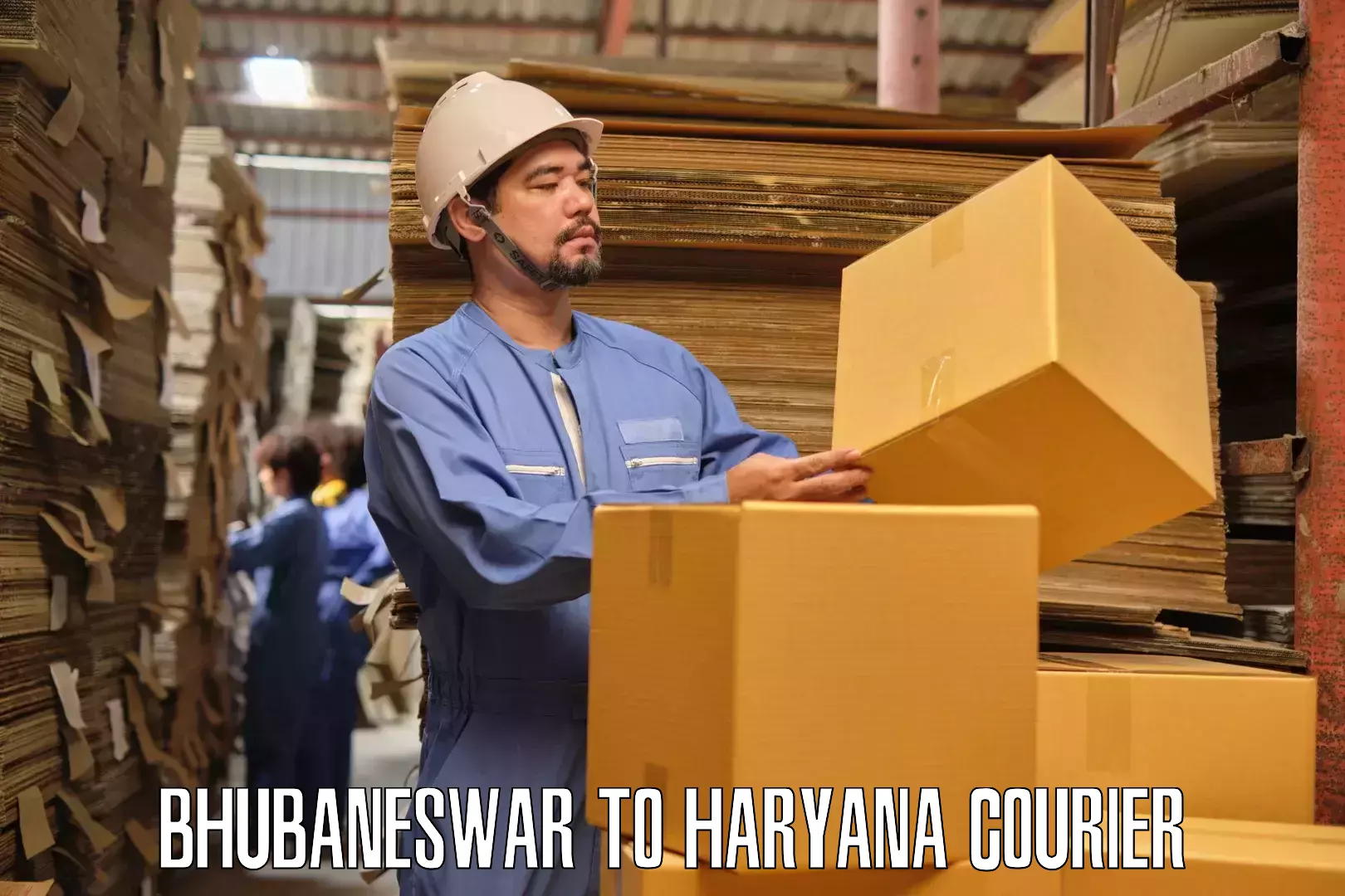 Door-to-door relocation services Bhubaneswar to Haryana