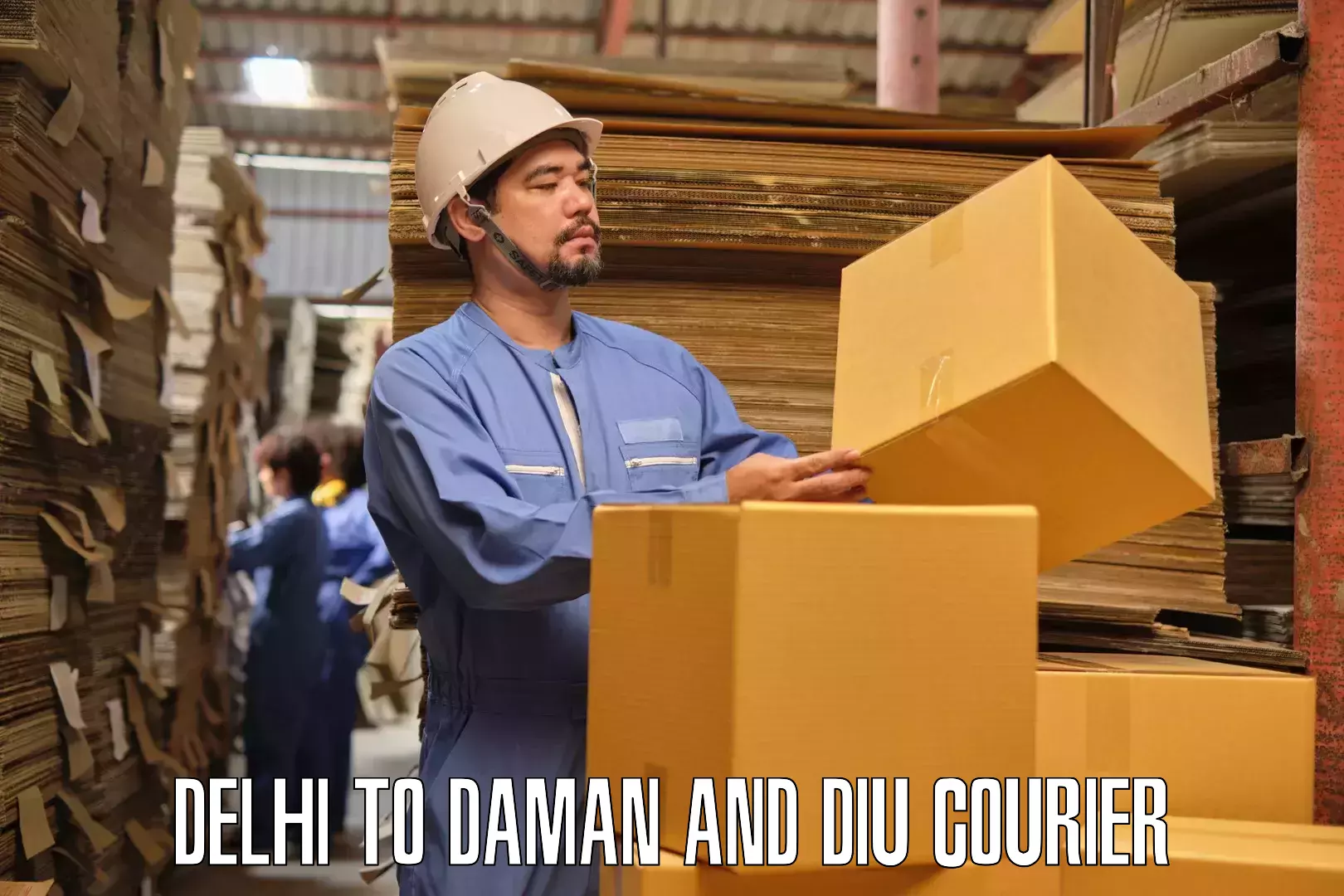 Professional goods transport Delhi to Diu