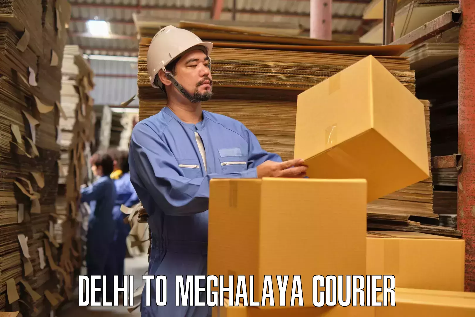 Full-service household moving in Delhi to Meghalaya
