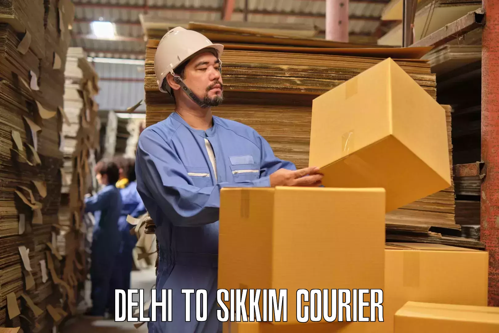 Household goods movers and packers in Delhi to South Sikkim