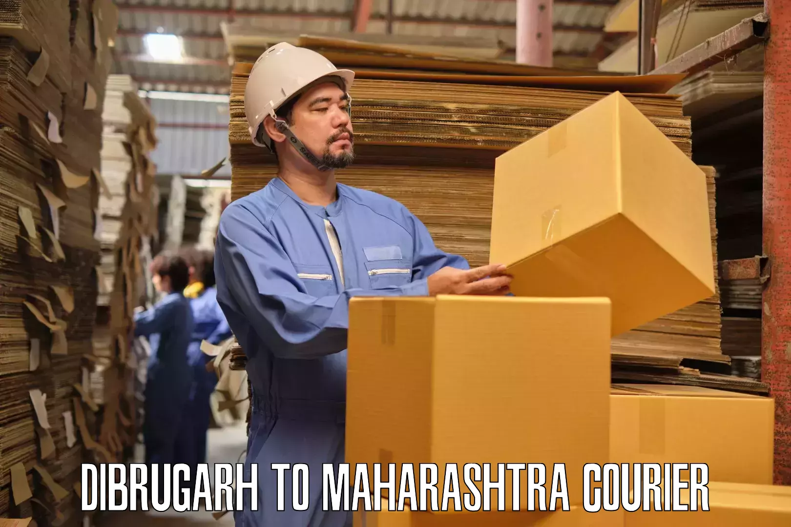 Professional goods transport Dibrugarh to Mayani