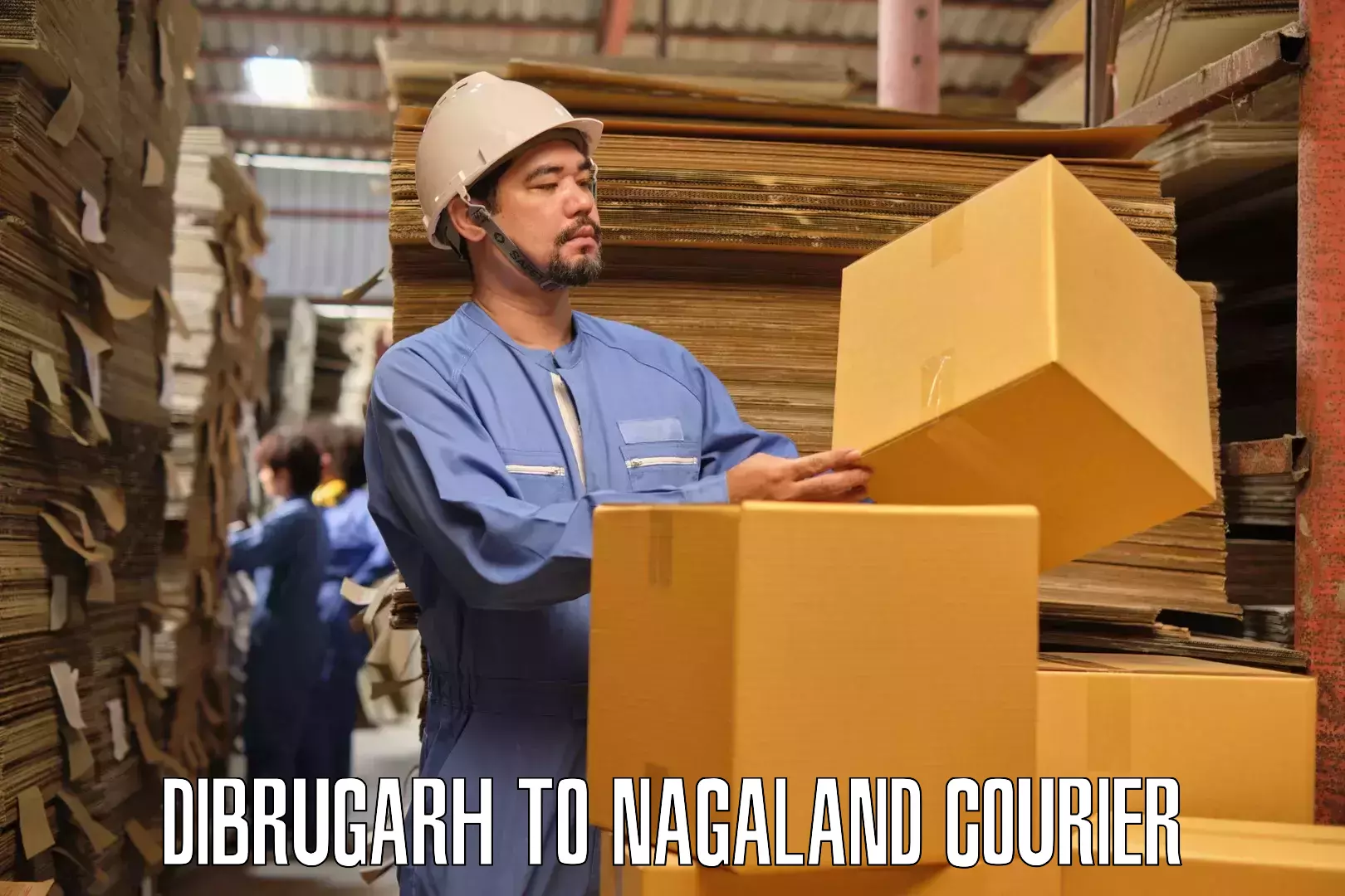 Full-service movers Dibrugarh to Nagaland