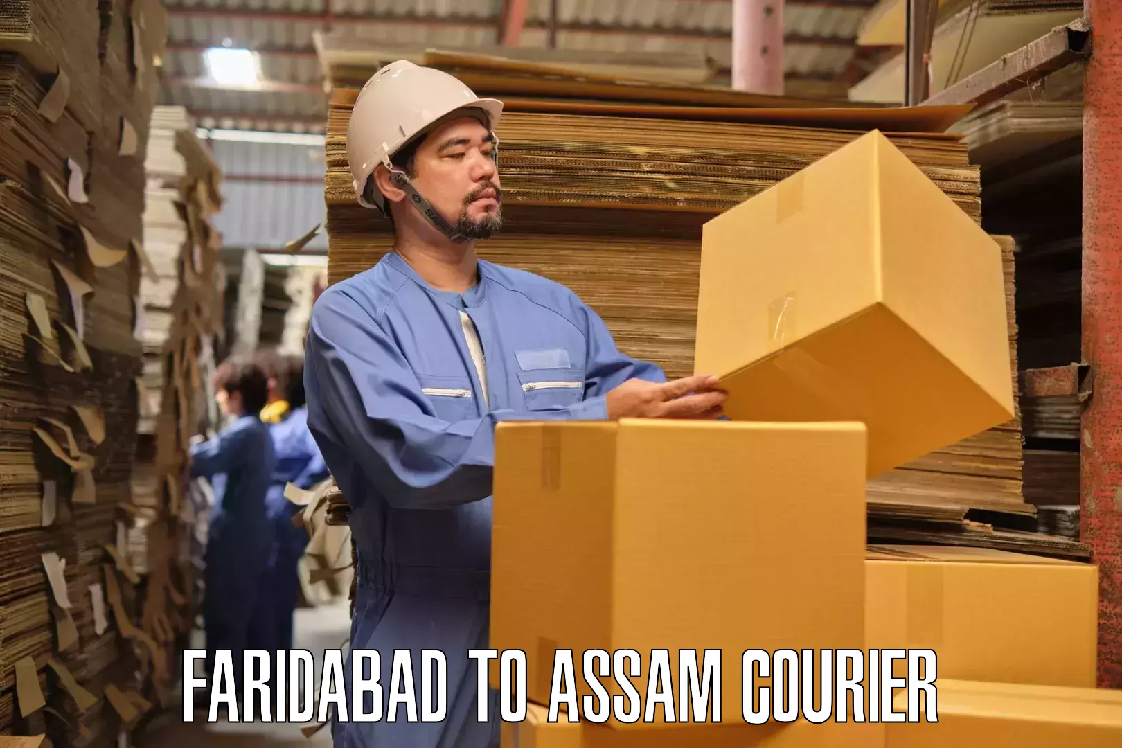 Furniture moving and handling Faridabad to Balipara