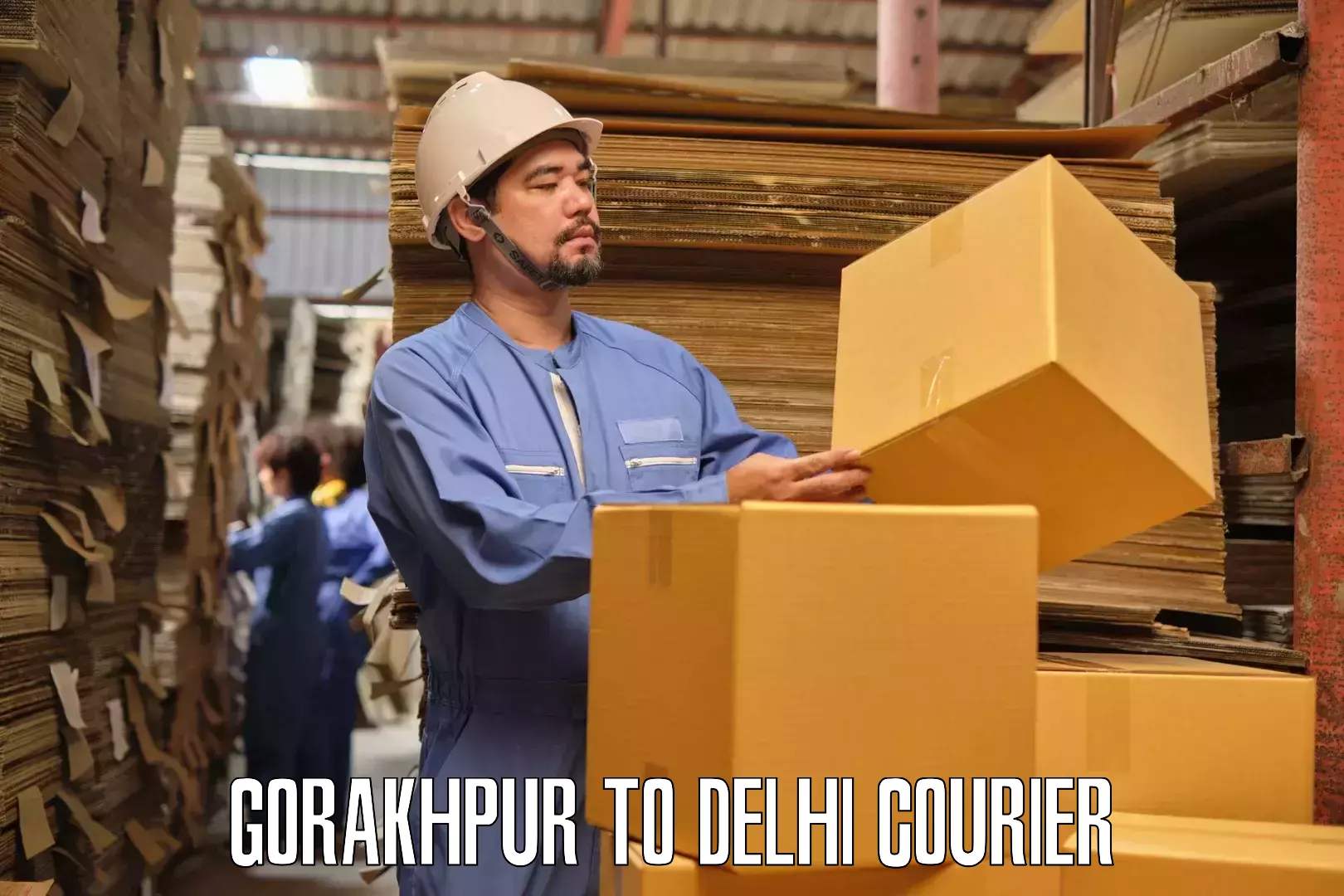 Skilled furniture transporters in Gorakhpur to Jamia Millia Islamia New Delhi