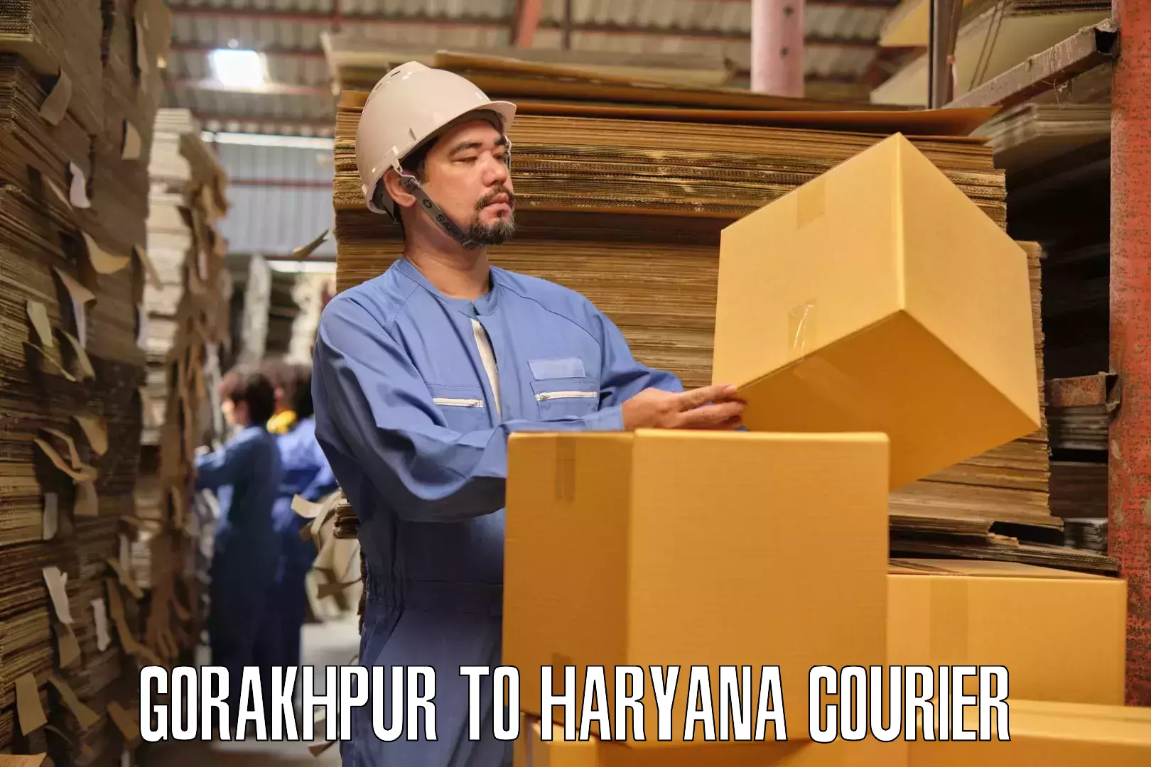 Expert furniture movers Gorakhpur to Chirya