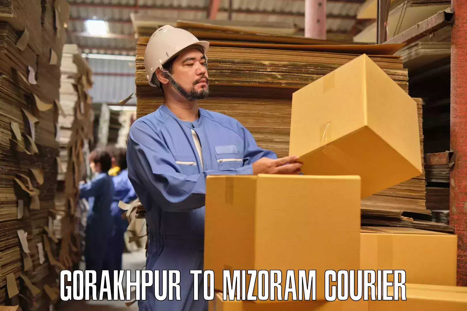 Household logistics services Gorakhpur to Mizoram