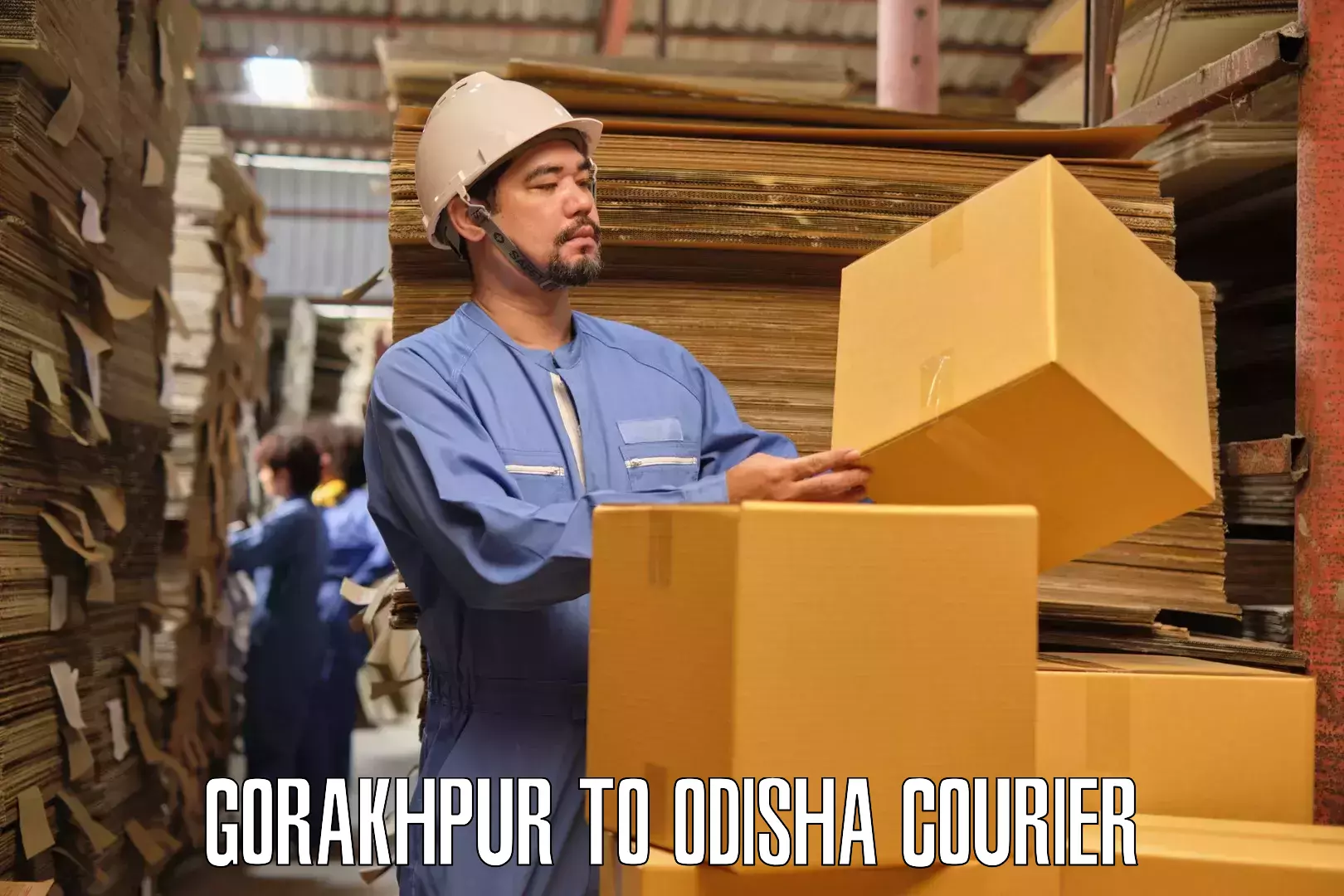 Local home movers Gorakhpur to Chhendipada