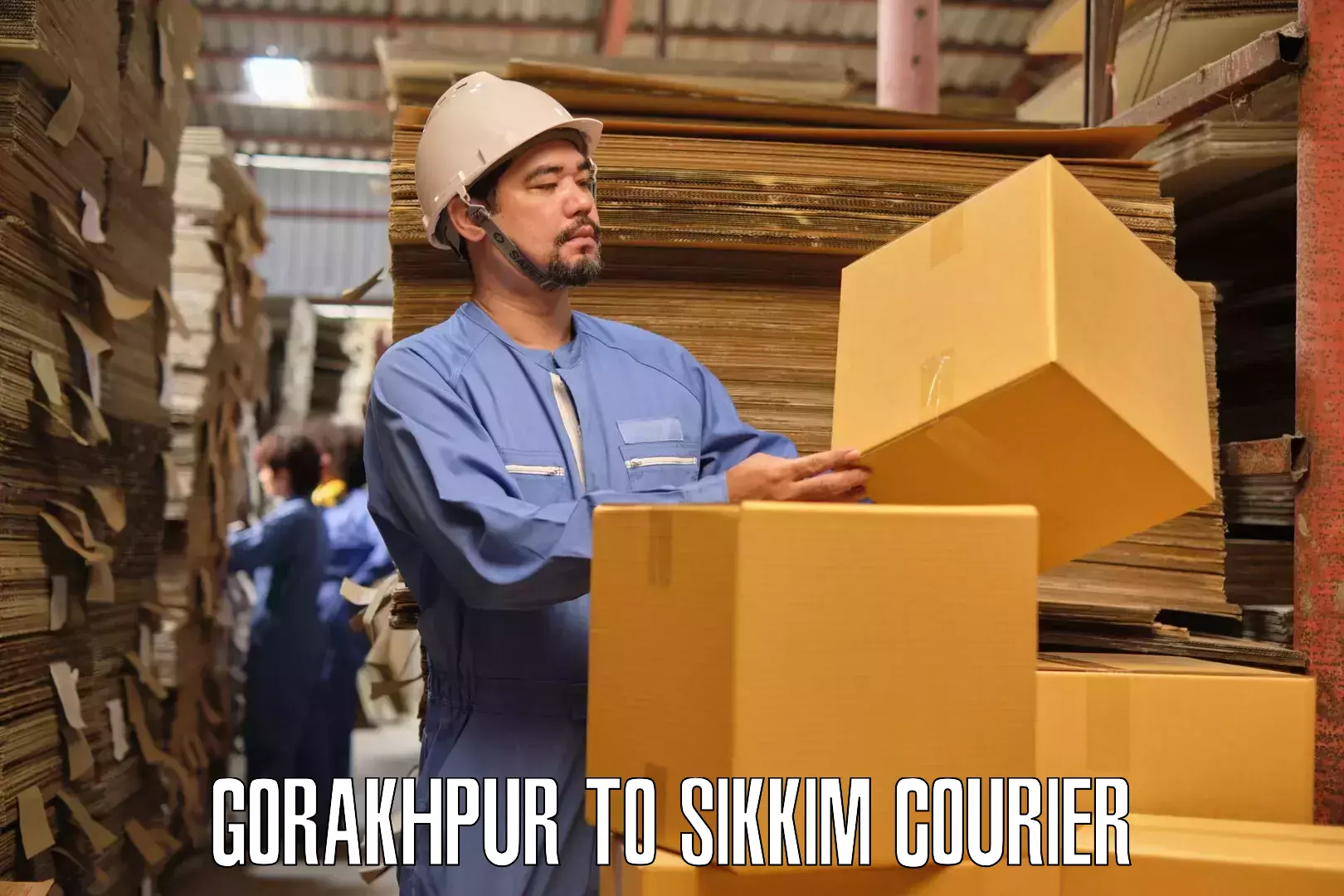 Furniture moving strategies Gorakhpur to East Sikkim