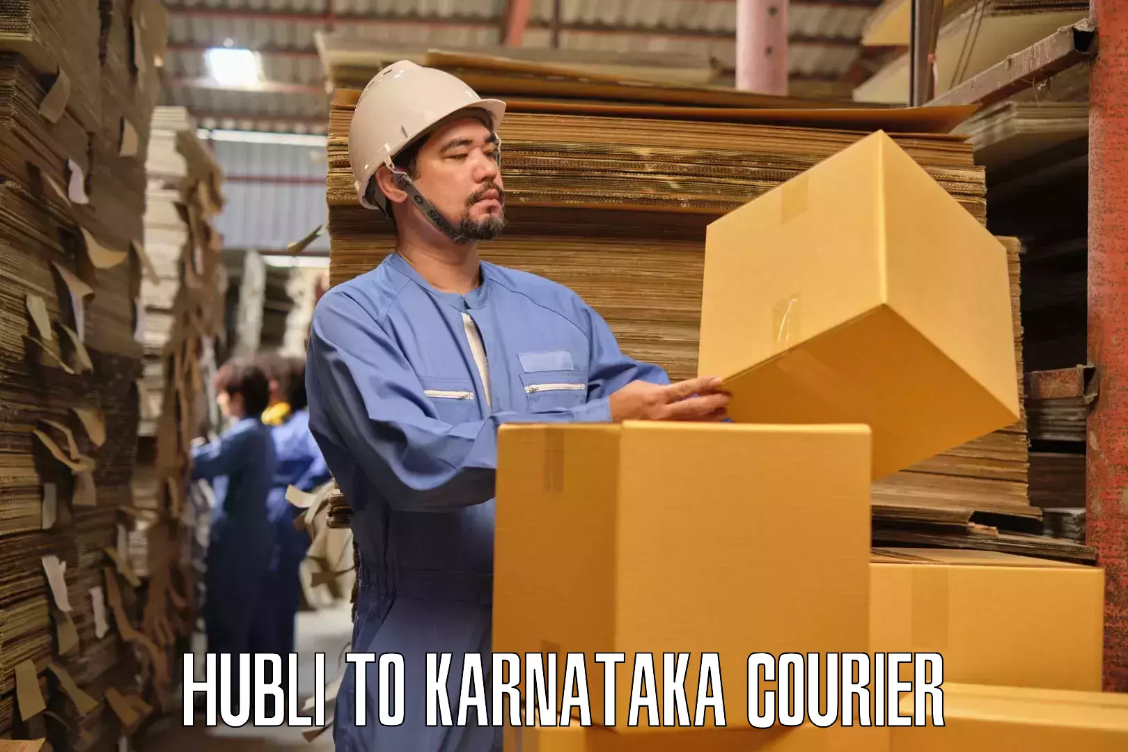 Furniture shipping services Hubli to Hosadurga