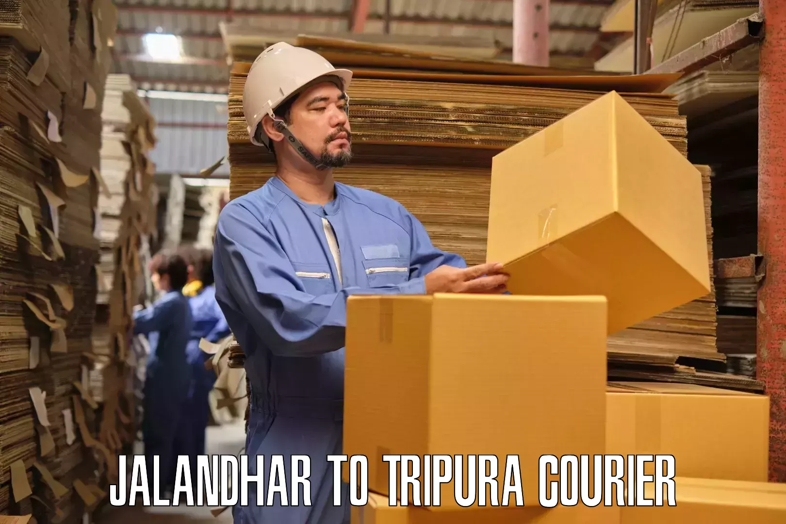 Safe furniture transport Jalandhar to Manu Bazar