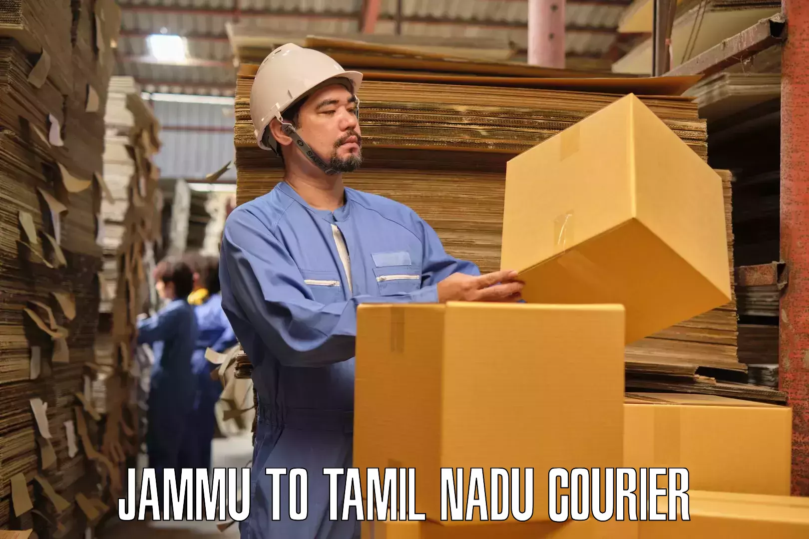 Reliable moving assistance Jammu to Mylapore