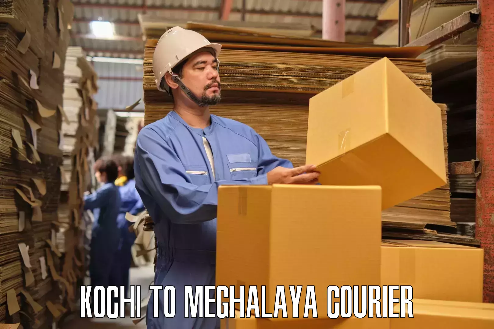 Furniture transport and logistics Kochi to Dkhiah West