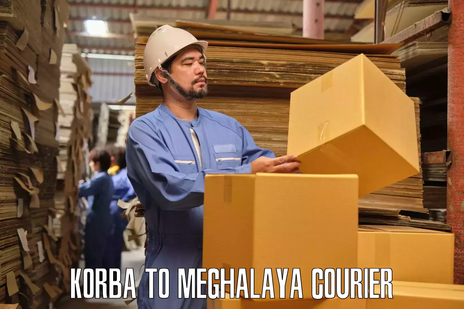 Door-to-door relocation services Korba to Umsaw