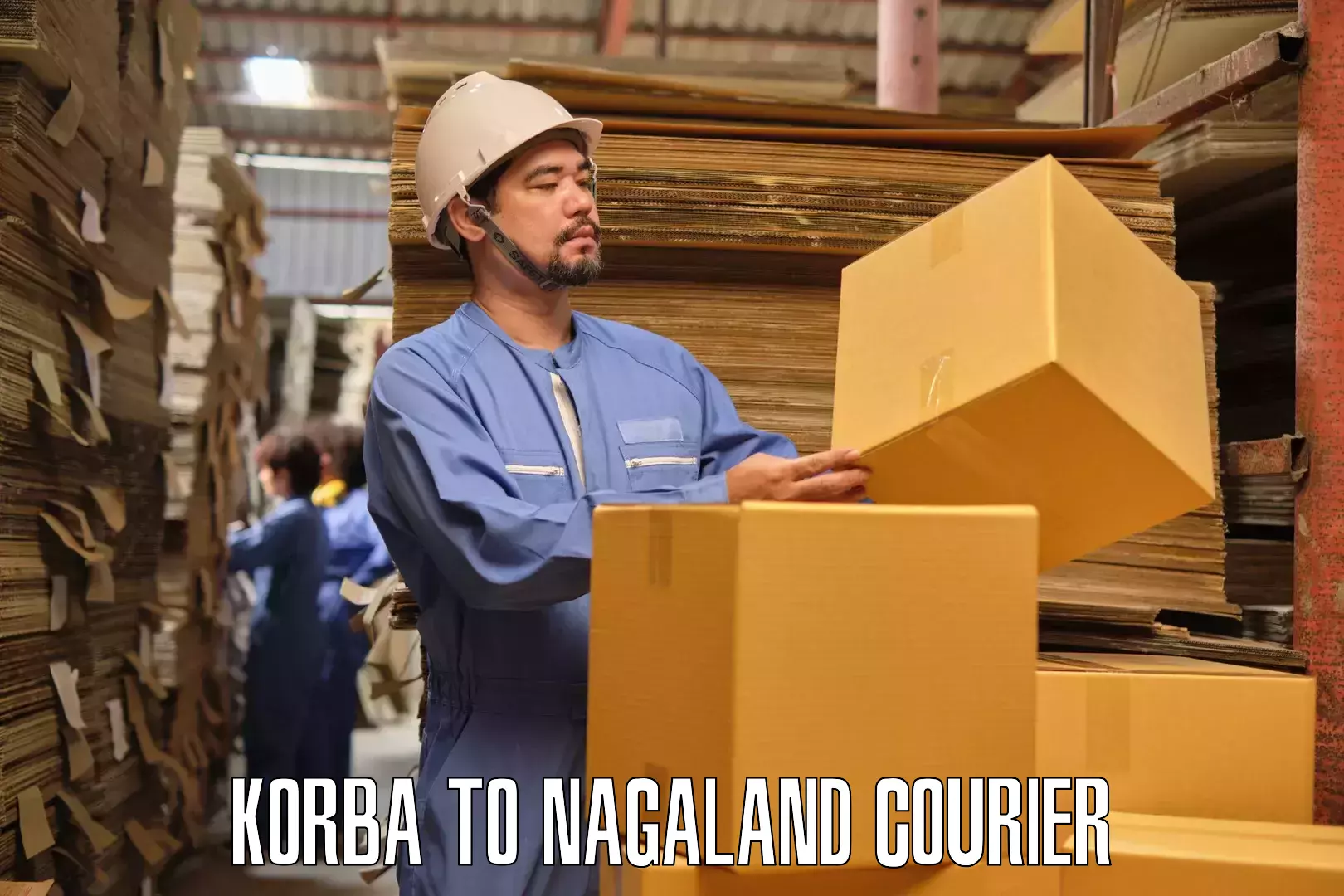 Affordable moving services Korba to Nagaland