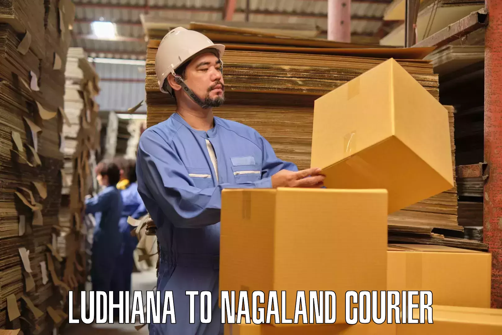 Furniture moving specialists Ludhiana to Mokokchung