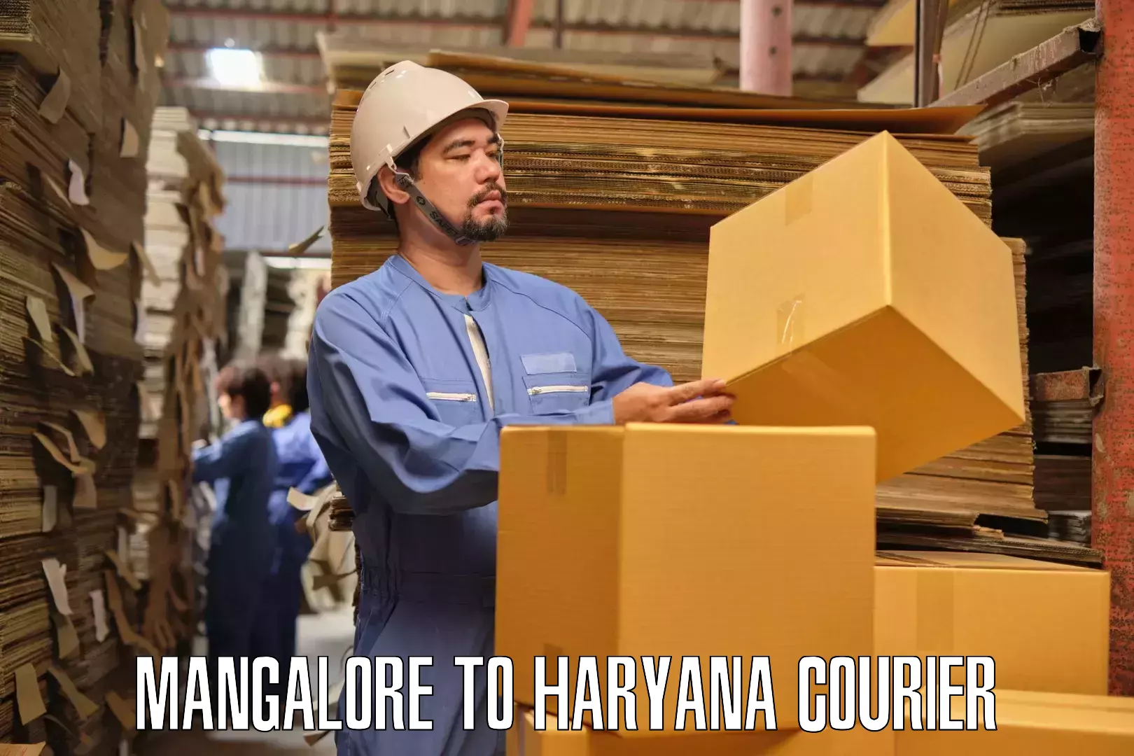 Household goods transport Mangalore to Chandi Rohtak