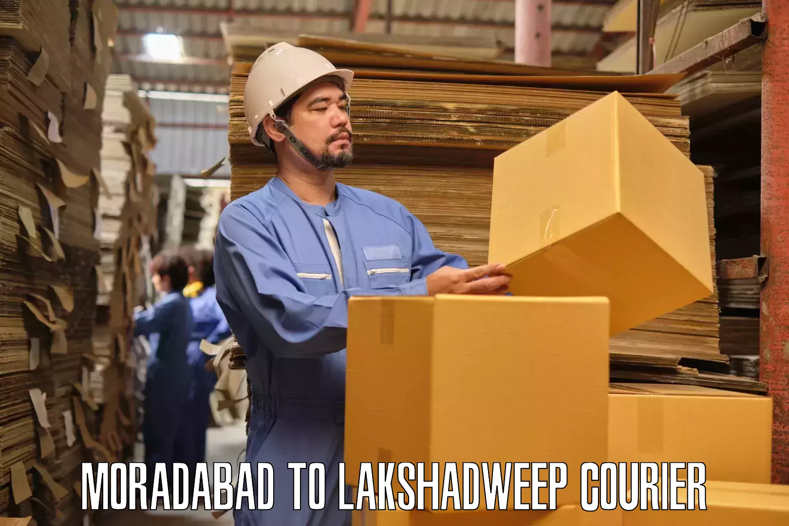Furniture transport specialists Moradabad to Lakshadweep