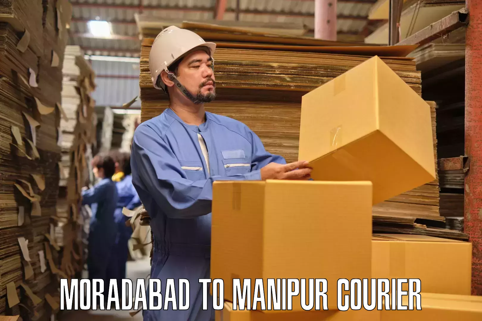 Furniture shipping services in Moradabad to Tamenglong