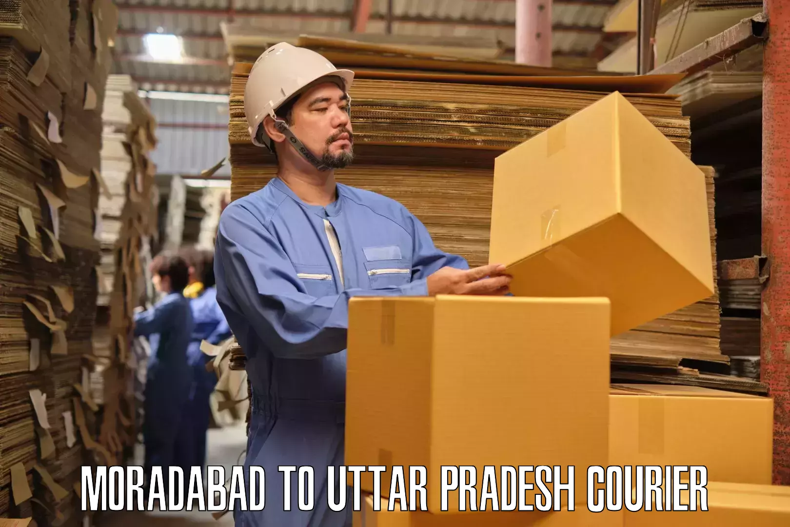 Quality moving company Moradabad to Uttar Pradesh