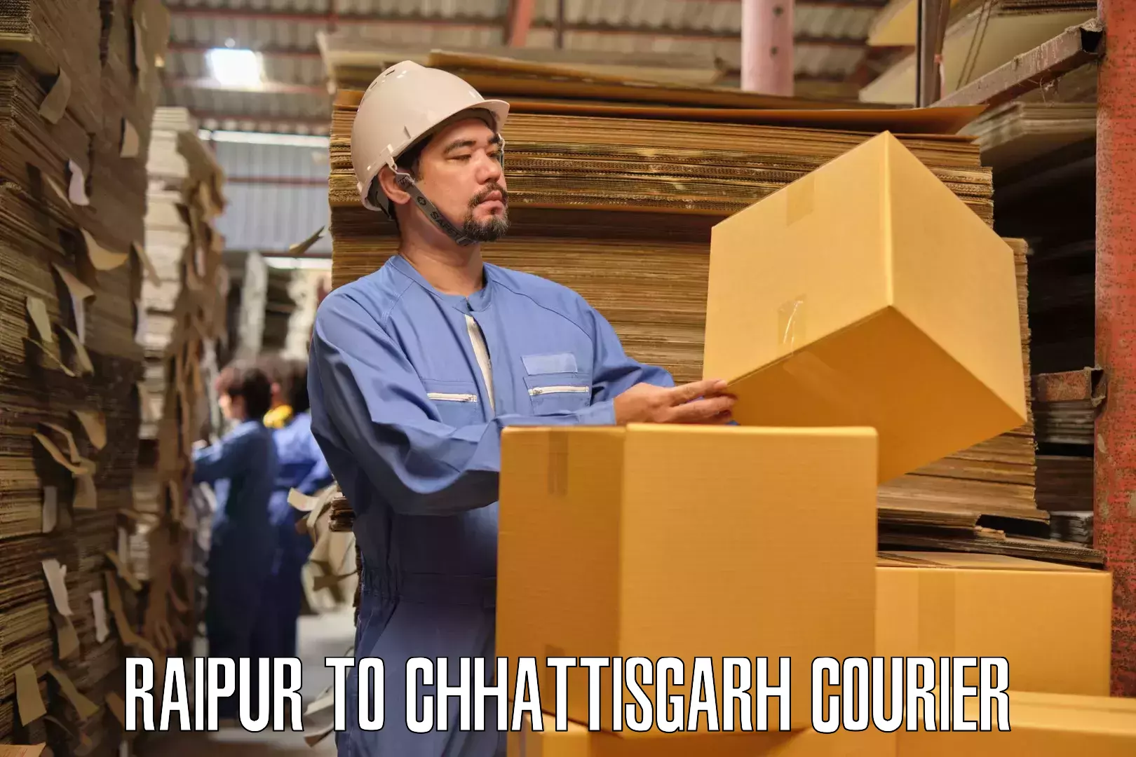 Professional moving company Raipur to Pithora