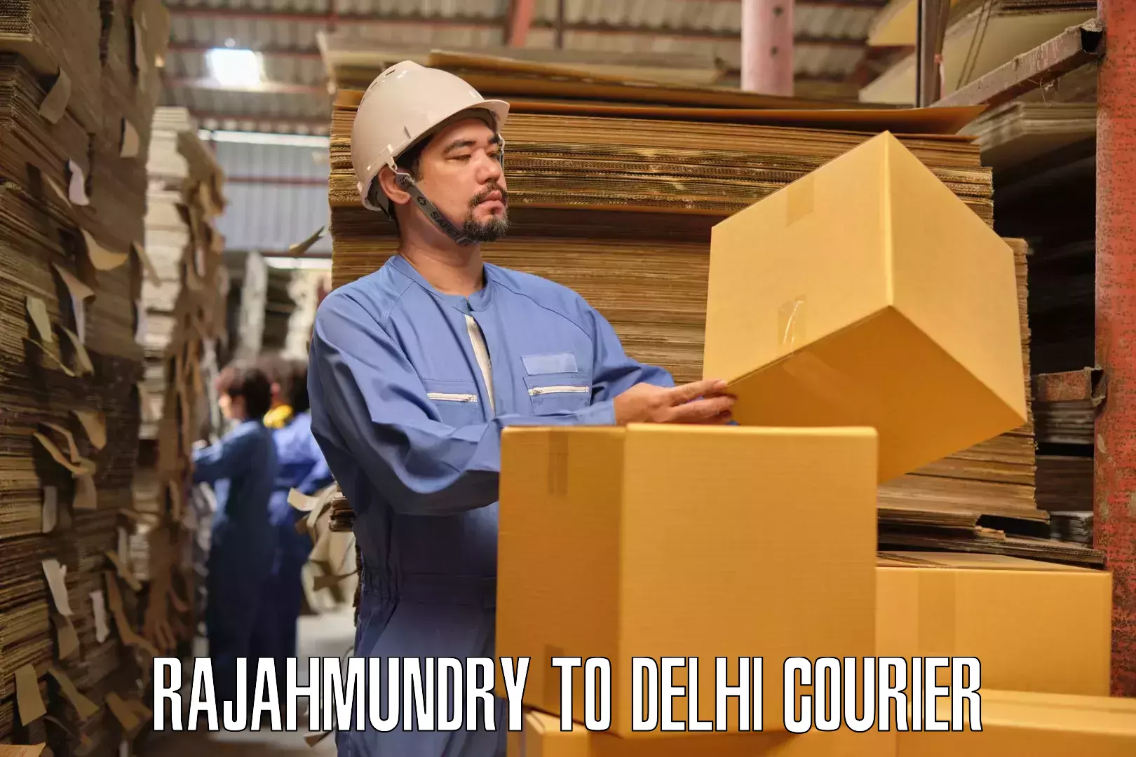 Professional goods transport Rajahmundry to Delhi Technological University DTU