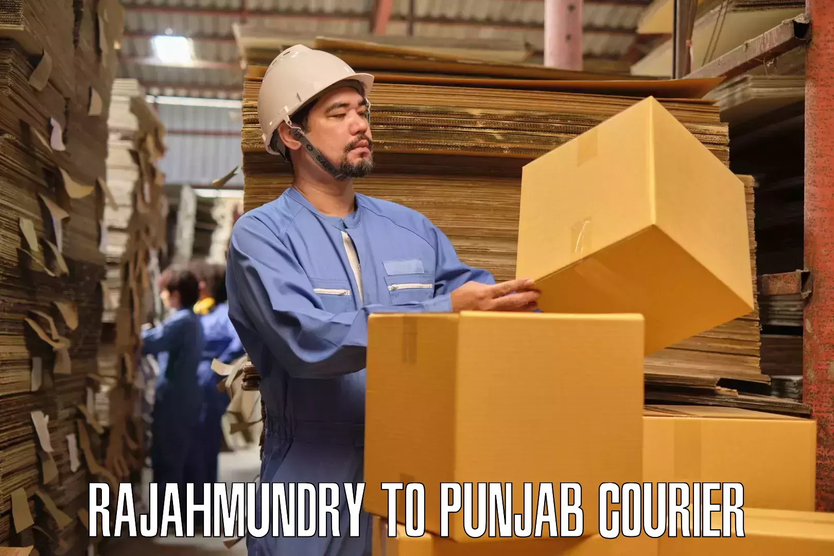 Residential moving experts Rajahmundry to Central University of Punjab Bathinda