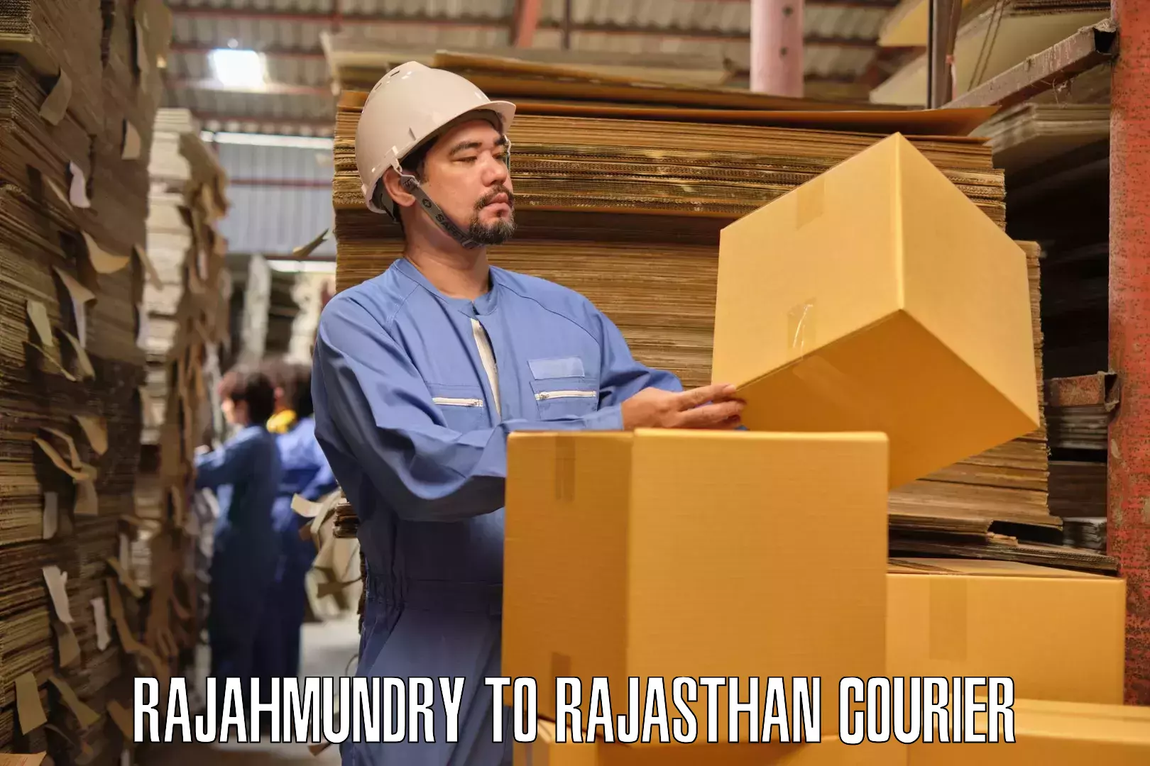 Furniture moving service Rajahmundry to Dausa