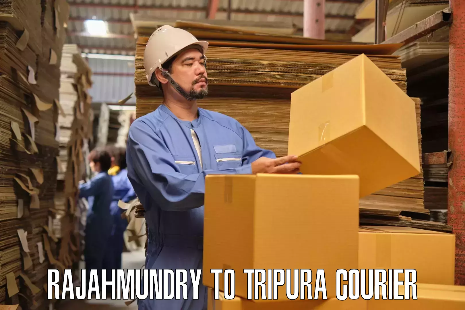 Specialized home movers Rajahmundry to Teliamura