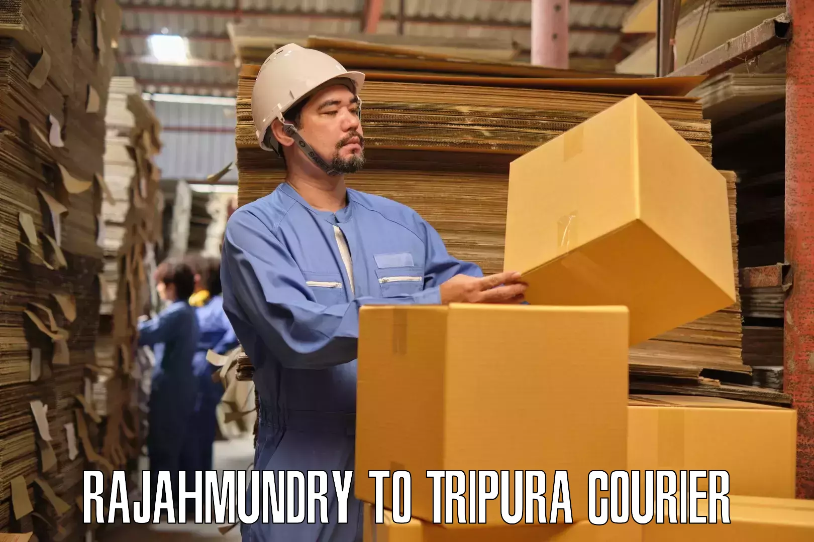 Home relocation experts Rajahmundry to Amarpur Gomati