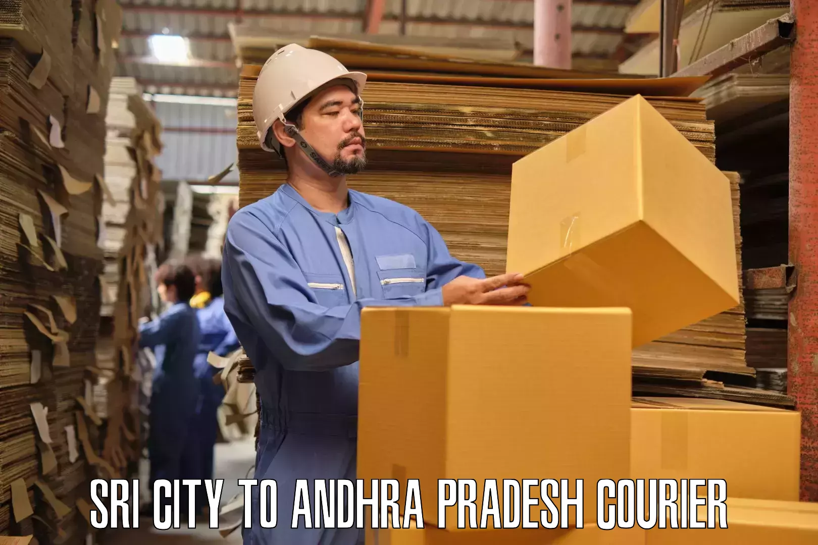 Professional packing services Sri City to Padmanabham Visakhapatnam