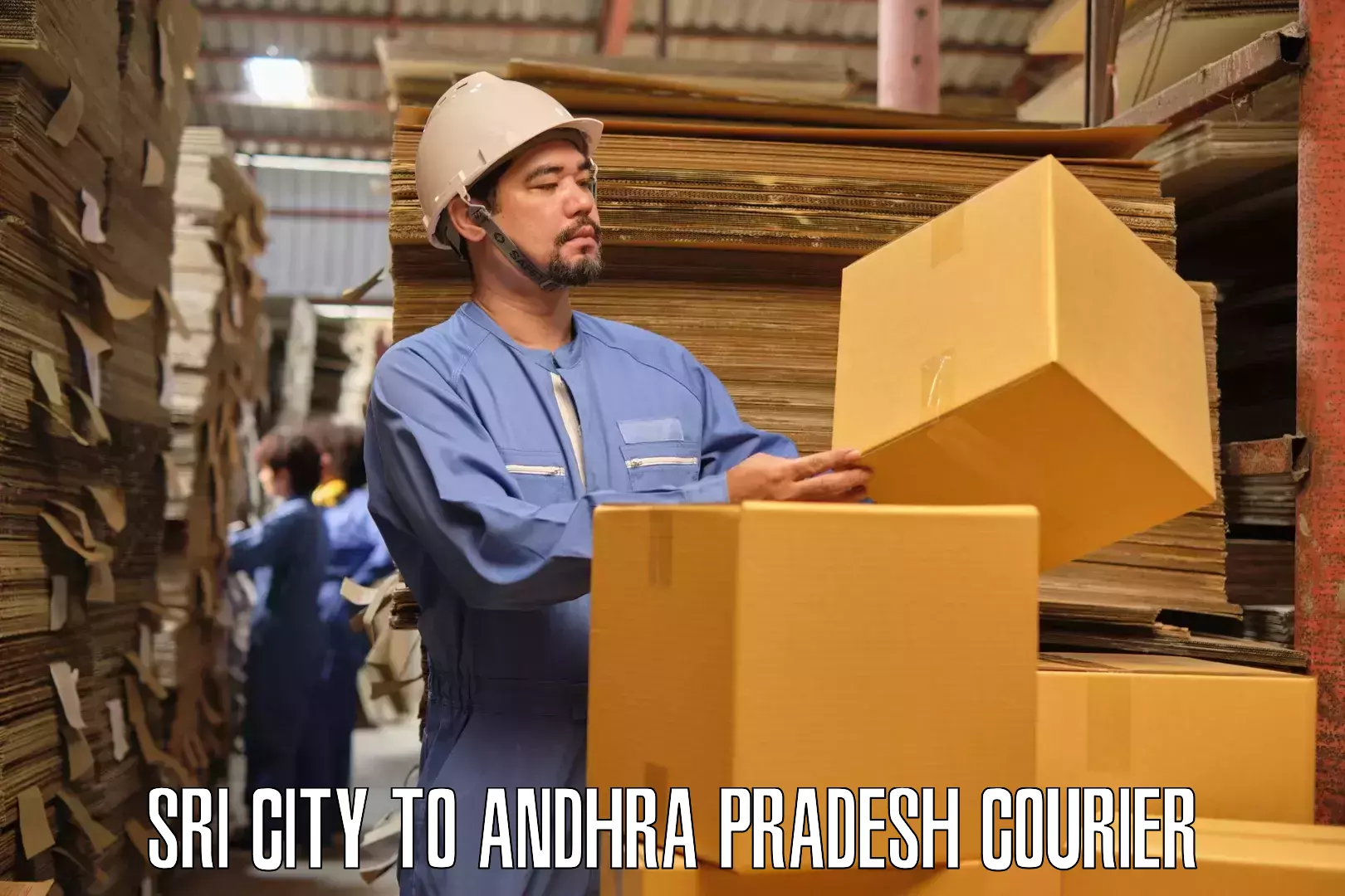 Household moving and storage Sri City to Srisailam