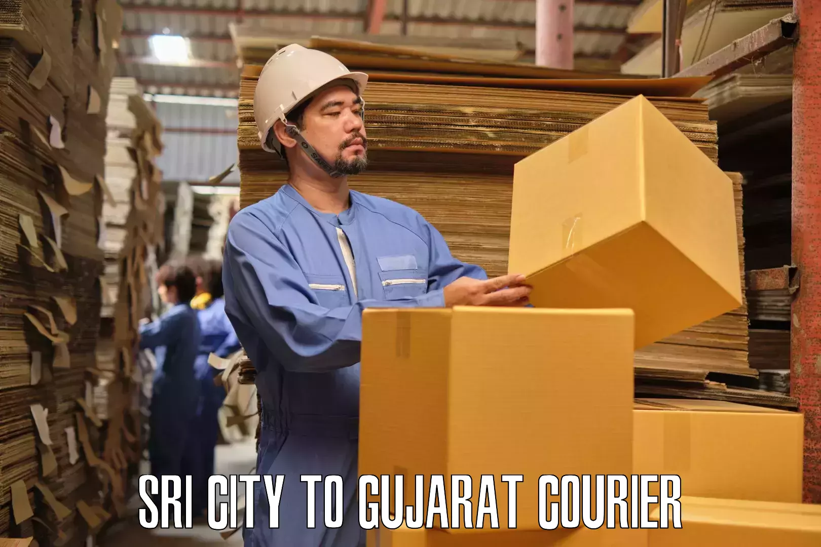 Efficient packing services Sri City to Chhota Udaipur